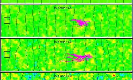Effects Of Spatial Heterogeneity