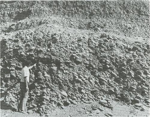 Salt River Bed, Arizona - 1