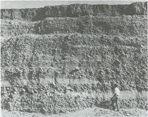 Salt River Bed, Arizona - 3
