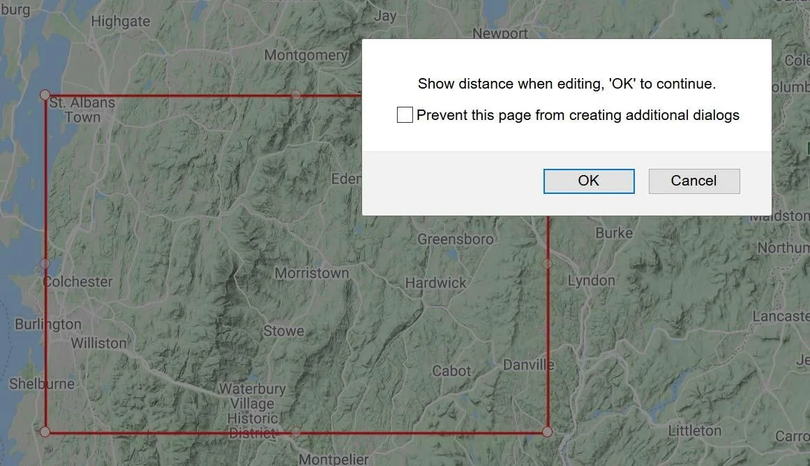 Second response window for model boundary definition, explaining vertex distance display and the undo button functionality